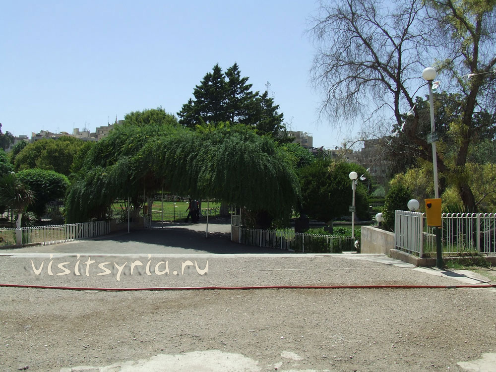 Зеленый парк